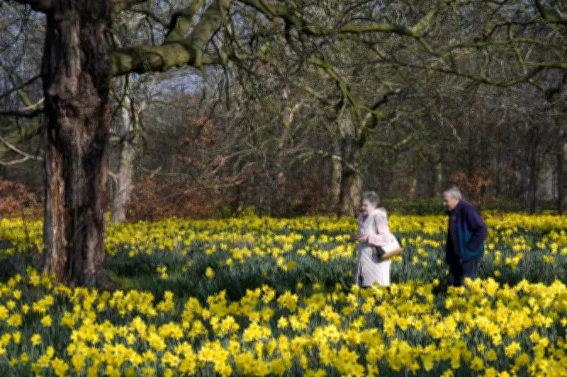Record 2026 Temperature Hits 19.2C in London Amid Saharan Dust Alert
