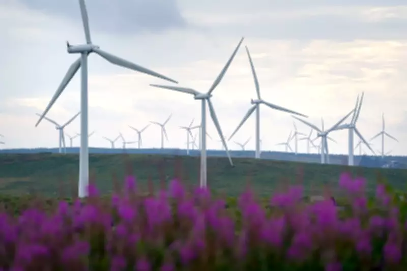 Reform UK's Energy Bill Pledge: Fact-Checking the £200 Savings Promise