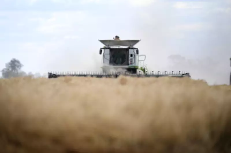 Regional Australia's Fuel Crisis: Farmers Defend Stockpiling Amid Supply Shortages