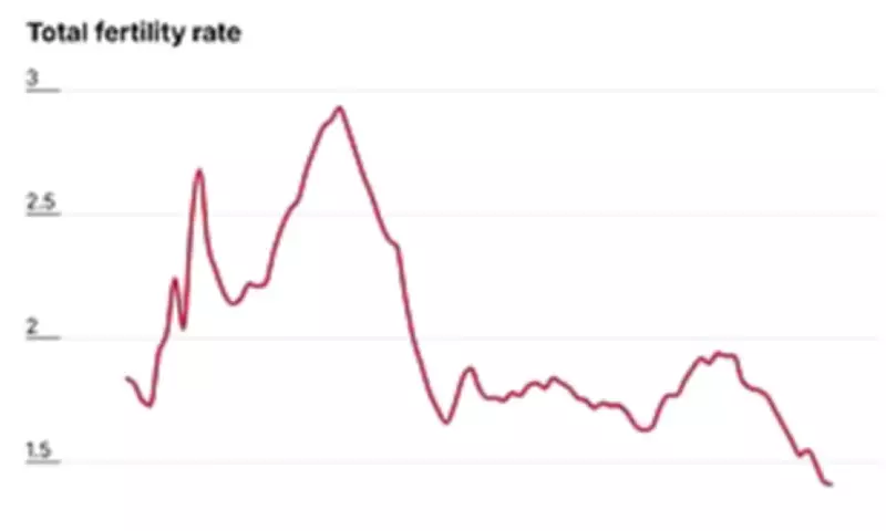 Report Blames 'Missing Babies' on Men's Delayed Maturity and Societal Shifts