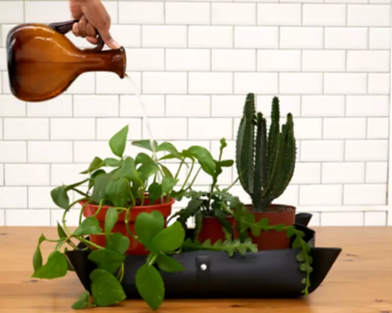 Repotting Mats: A Houseplant Hack Worth the Investment?