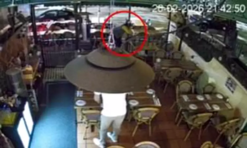 Restaurant Manager's CCTV Shows Thief's Friend Impaled on Fence After Phone Theft
