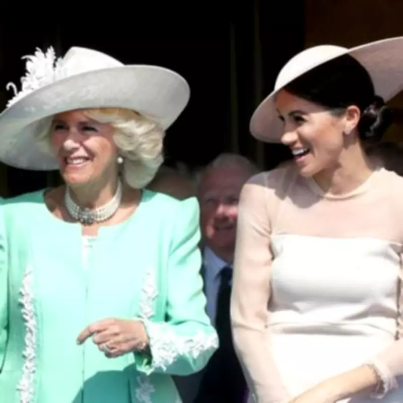 Royal Rift Deepens as Camilla's 'Brainwashed' Claim Emerges in Explosive Book