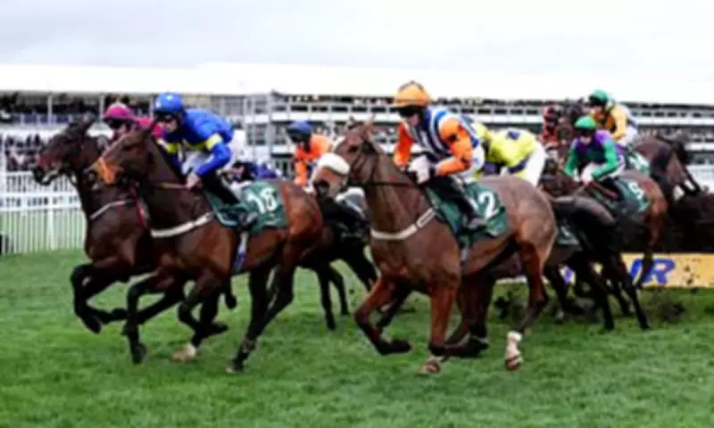 Ryanair's Michael O'Leary Buys Record Horse Amid Cheltenham Drama