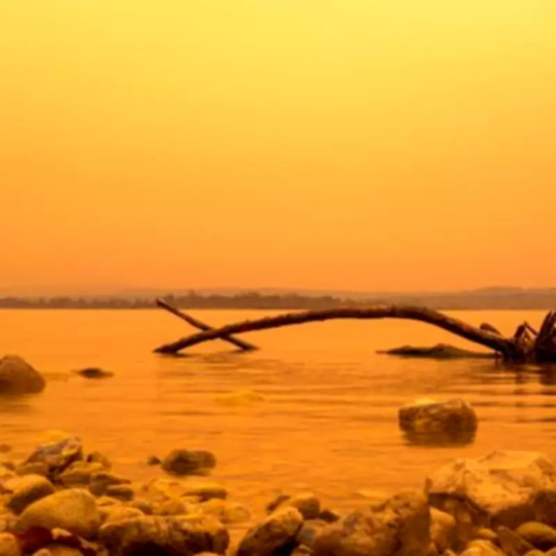 Saharan 'Blood Rain' Linked to 44% of Pollution Deaths in Europe, Expert Warns