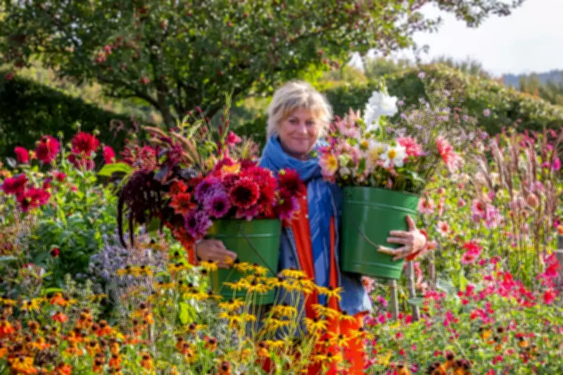 Sarah Raven's Top 5 Cut Flowers for a Vibrant Home Display