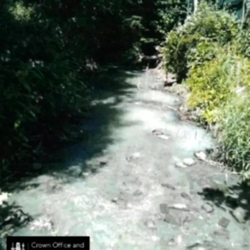 Sausage Casing Firm Fined £48,000 for Dumping 1.8 Million Litres of Waste into Scottish Stream