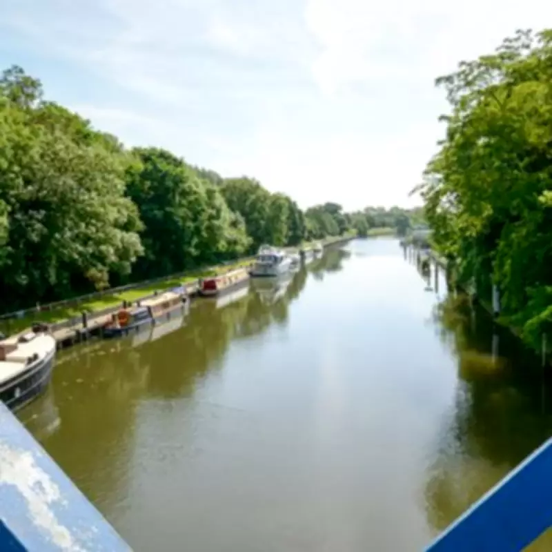 Scenic Thames Riverside Walk from Kingston to Teddington with Pastry Stops