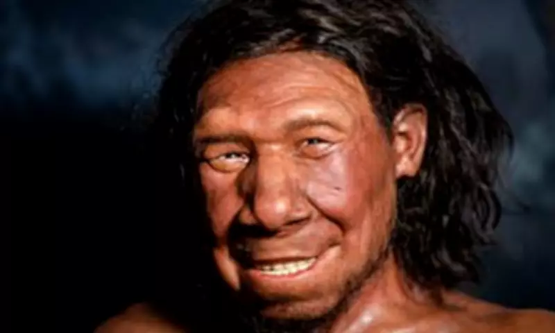 Scientists Recreate Lost Languages of Ancient Human Species