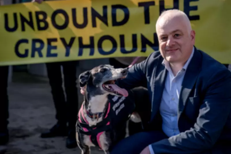 Scotland Bans Greyhound Racing Following Wales in Historic Animal Welfare Move