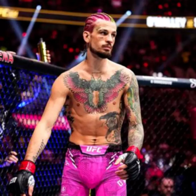 Sean O'Malley Defends UFC, Tells Rousey, Jones, and McGregor to Show Gratitude