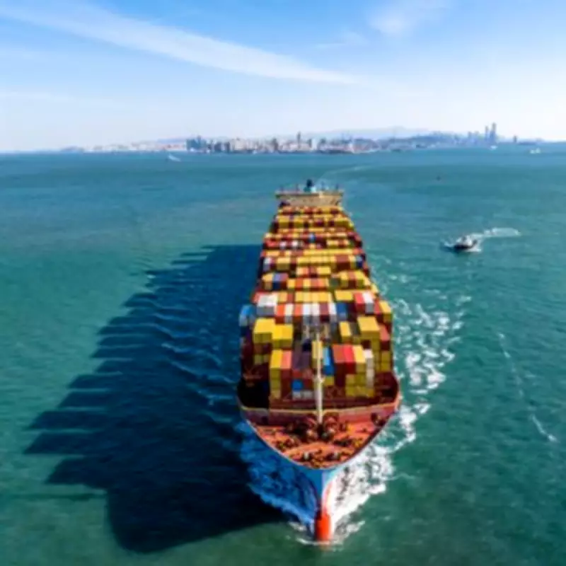 Seawise Giant: The Colossal Ship That Outstripped the Eiffel Tower