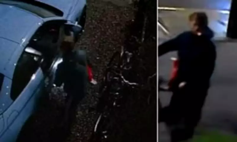 Shameless Thief Caught on Camera Stealing Louis Vuitton from Unlocked BMW in Cardiff