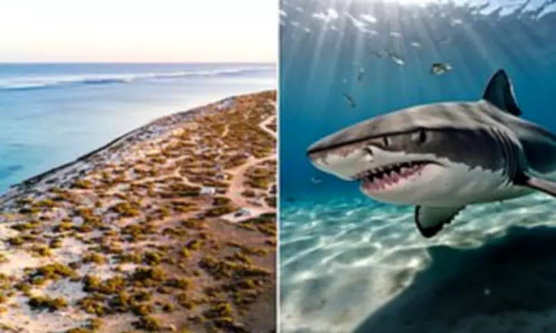 Shark Bites Swimmer at Exmouth Beach, Following Recent Great White Attack