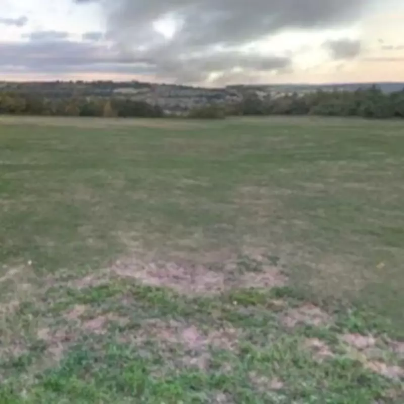 Sheffield Park Attack: Elderly Woman Injured in Alleged Attempted Rape