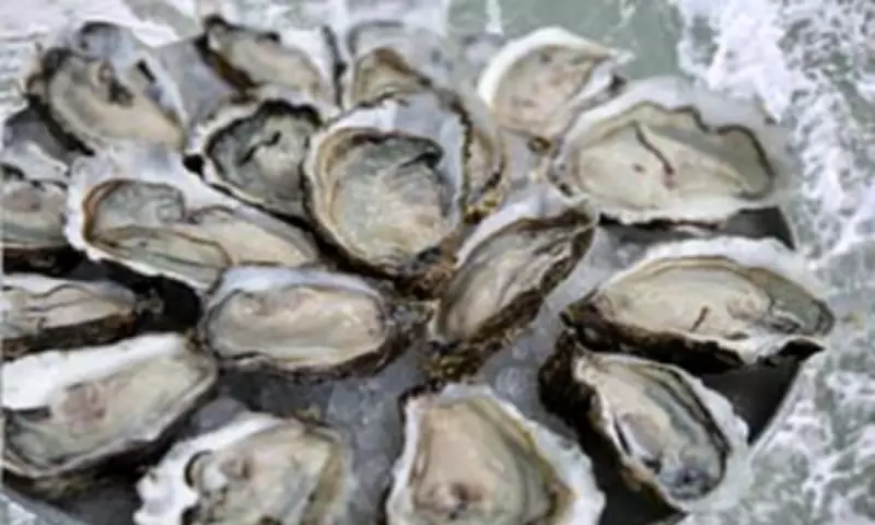 Shellfish Recall Across Nine States Due to Norovirus Contamination Risk