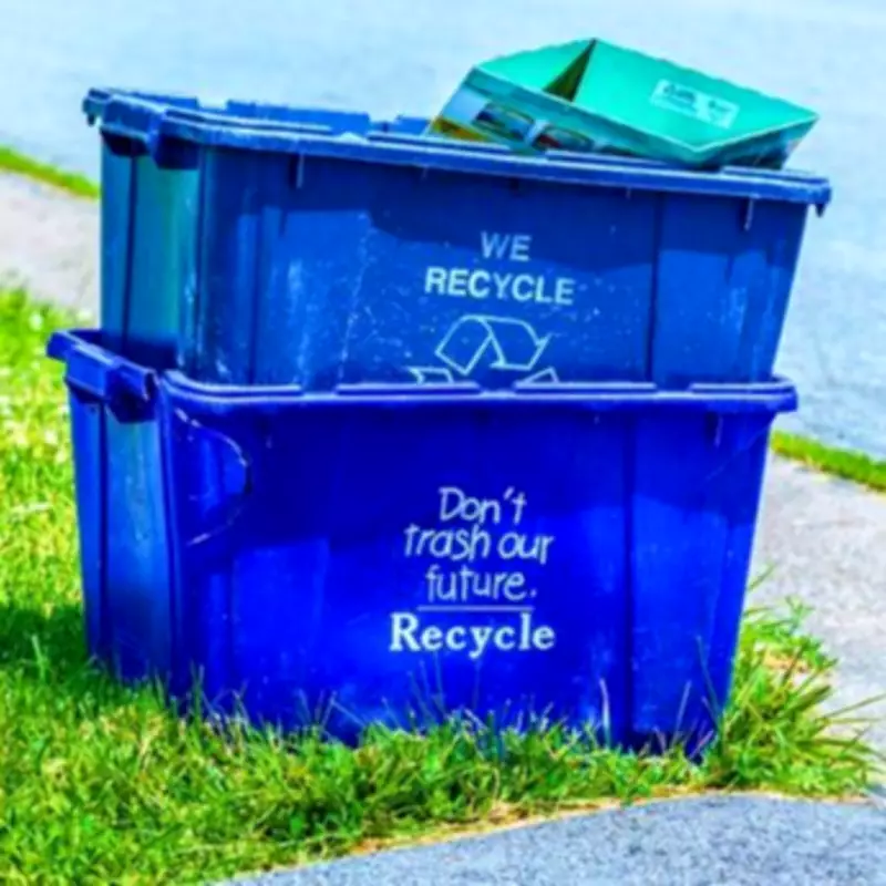 Simple Newspaper Trick Prevents Fly Infestations in Recycling Bins This Spring