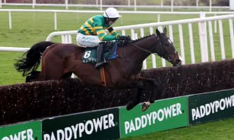 Sir Anthony McCoy Hails 'Best Cheltenham in 20 Years' as Festival Thrills