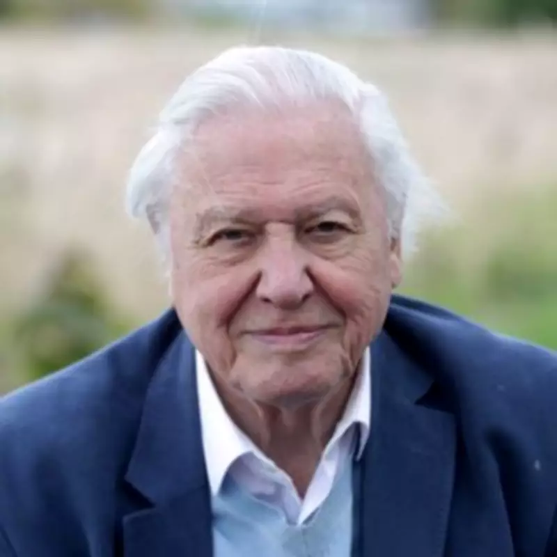 Sir David Attenborough's Favourite UK Wildlife Haven: The Farne Islands