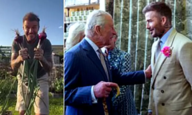 Sir David Beckham to Host Garden at Chelsea Flower Show with Alan Titchmarsh