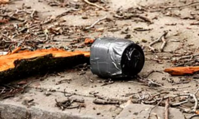 Six Arrested After Explosive Devices Thrown Near NYC Mayor's Home