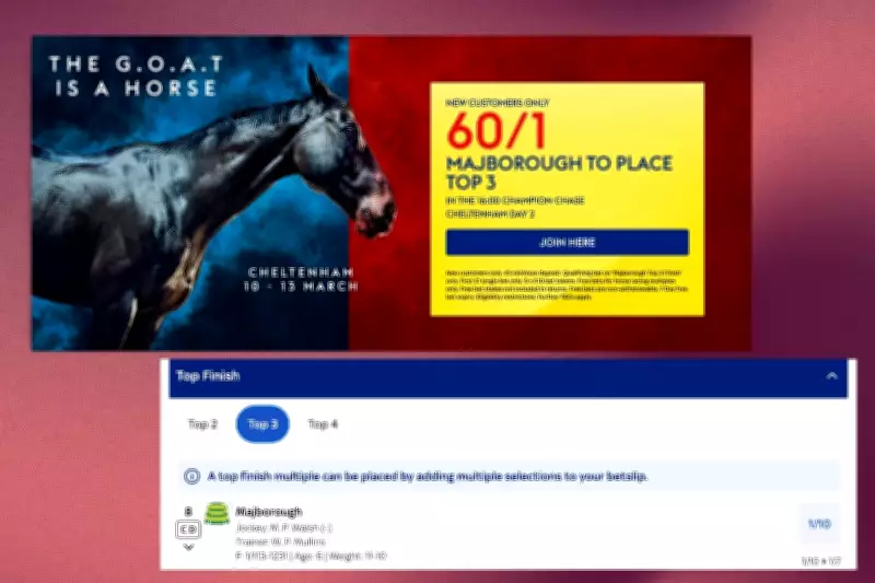 Sky Bet Offers 60/1 Odds on Majborough in Champion Chase at Cheltenham