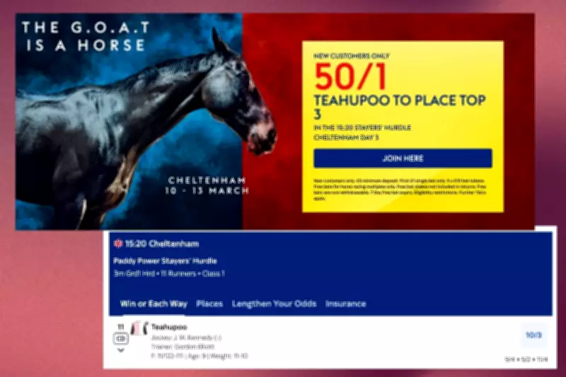Sky Bet's 50/1 Cheltenham Offer: Teahupoo Top Three Bet for New Customers