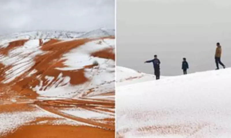 Snowfall Transforms Sahara Desert Dunes White in Rare Weather Phenomenon