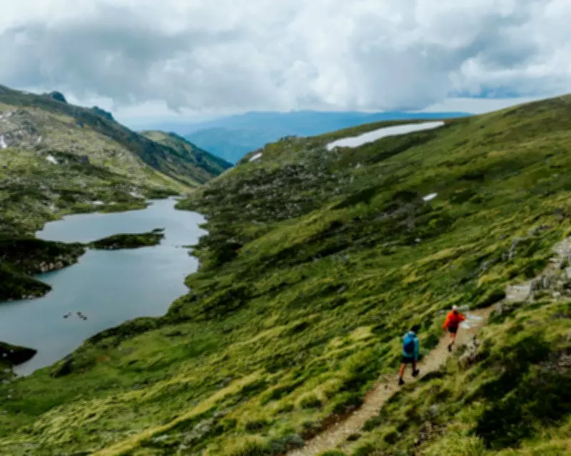 Snowies Alpine Walk Opens Majestic Kosciuszko to Hikers of All Levels