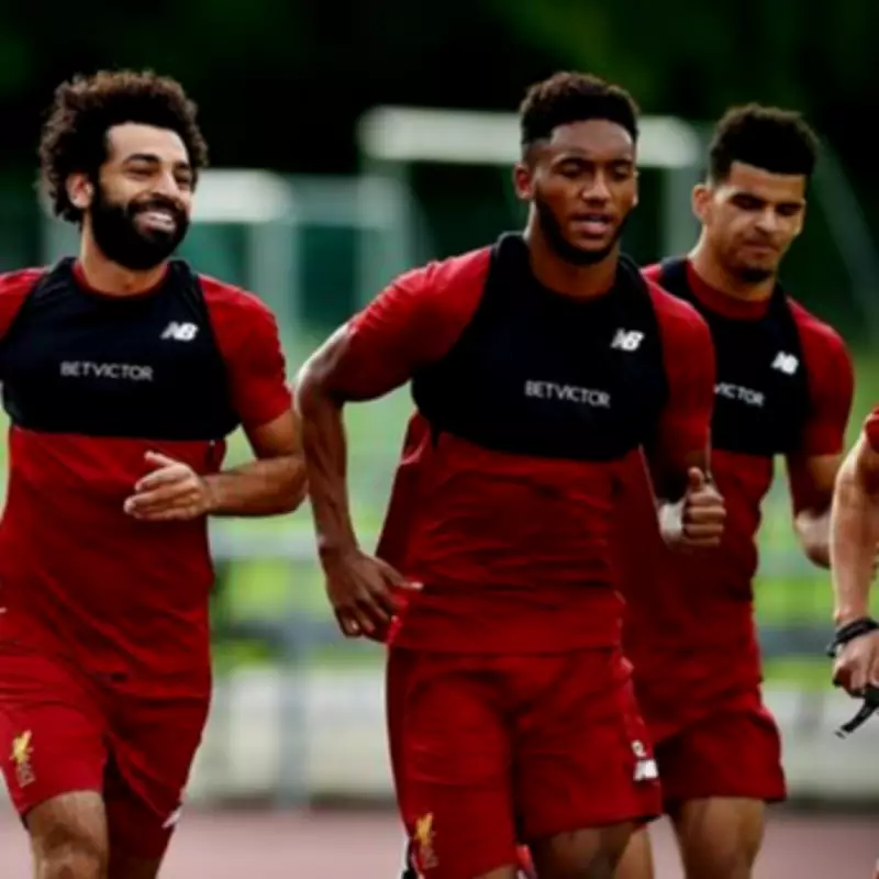 Solanke's Journey from Liverpool Exit to England World Cup Contention