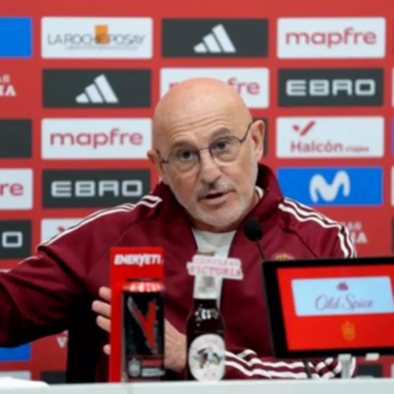 Spain Manager Questions Lack of Hype for Arsenal's David Raya