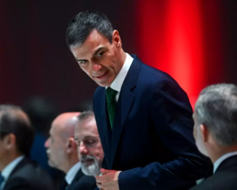 Spain to Respond to Trump's Trade Threats as EU Commissioner Criticises 'Deeply Disruptive' Comments