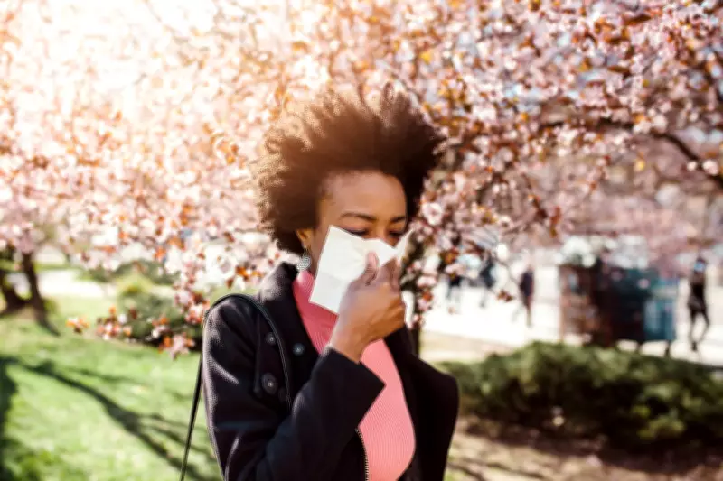 Spring Allergy Season: The Right Way to Blow Your Nose to Avoid Health Risks