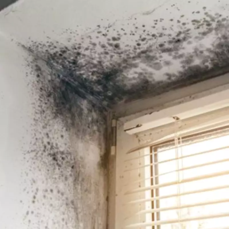 Stop Mould Growth Permanently with This 10-Second Daily Task