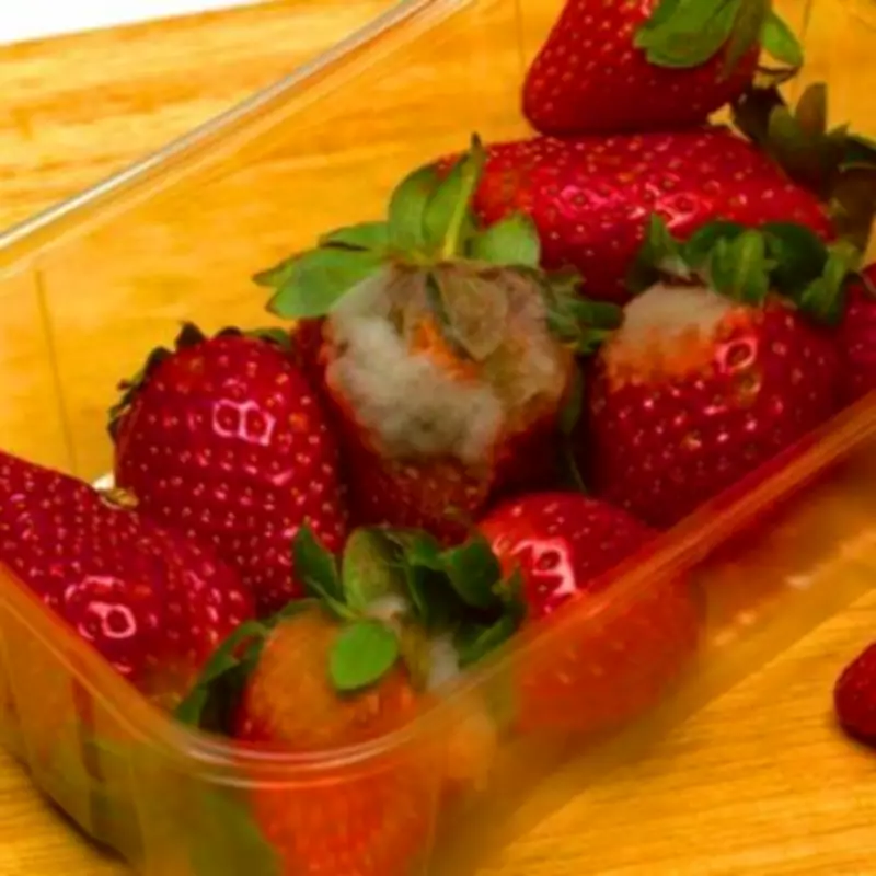 Stop Storing Berries in Supermarket Containers to Prevent Rapid Spoilage