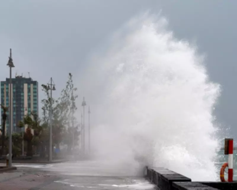 Storm Regina Batters Canary Islands with 6-Metre Waves and Snowfall