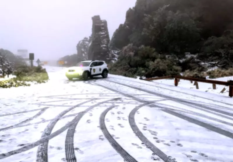 Storm Therese Hits Tenerife: Travel Warnings and Safety Advice Issued