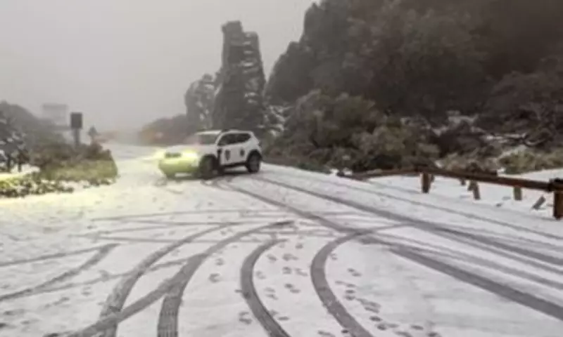 Storm Therese Ravages Canary Islands with Snow, Floods and High Winds