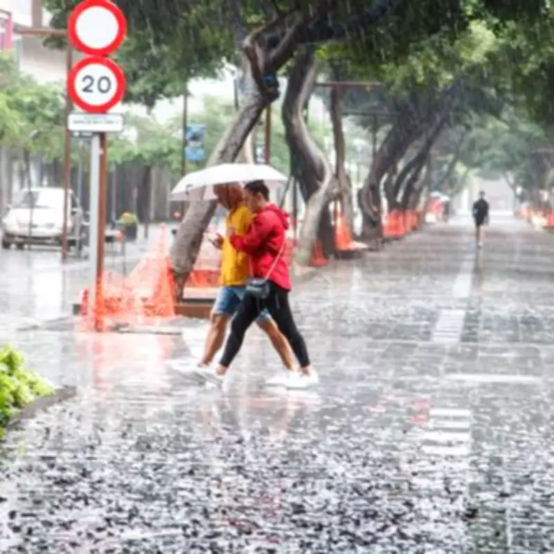 Storm Therese Triggers Emergency Weather Alerts Across Canary Islands