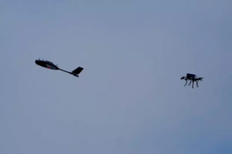 Stray Drones Hit Estonia and Latvia Amid Russia-Ukraine Aerial Conflict