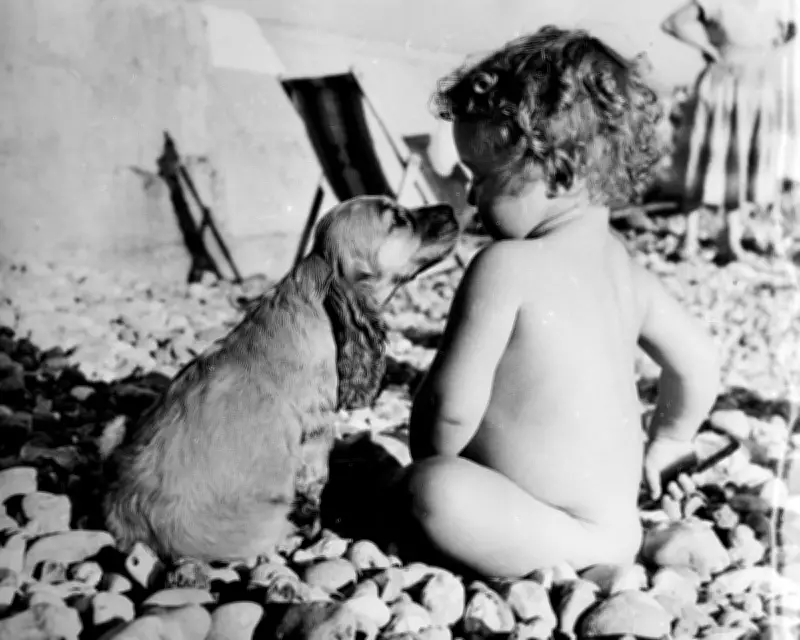 Study Reveals Babies Under One Year Old Practice Deception