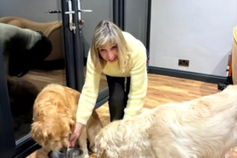 Sunderland Woman Spends £100 Monthly on Human Food for Her Golden Retrievers