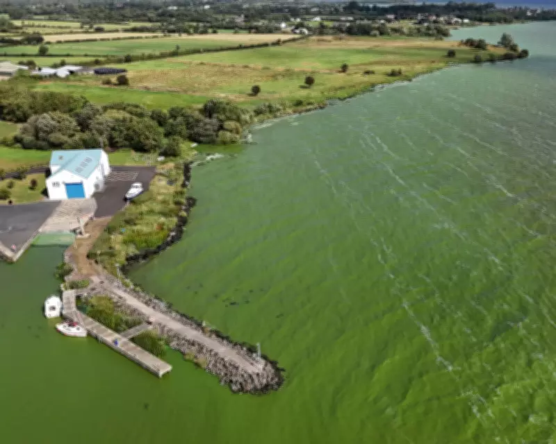 Superbug Genes Found in Lough Neagh, Threatening UK's Largest Lake