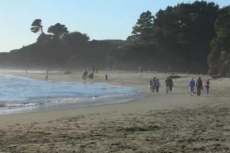 Surfer, 39, Injured in California Shark Attack, Beach Closed for Investigation