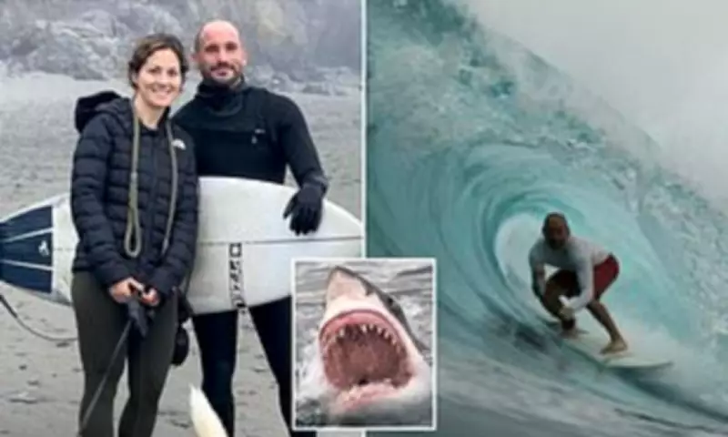 Surfer Battles Shark in California, Credits Lifeguards from Hospital Bed