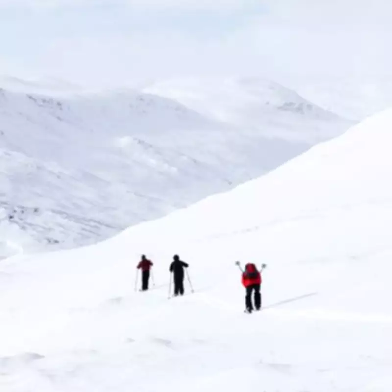 Swedish Avalanche Traps Skiers, Emergency Crews Launch Major Rescue