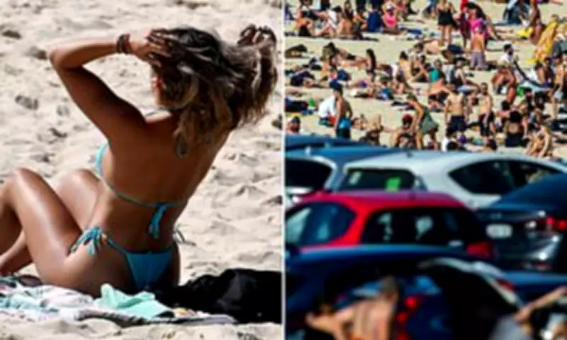 Sydney Council Proposes Paid Beach Parking for Visitors to Ease Ratepayer Burden