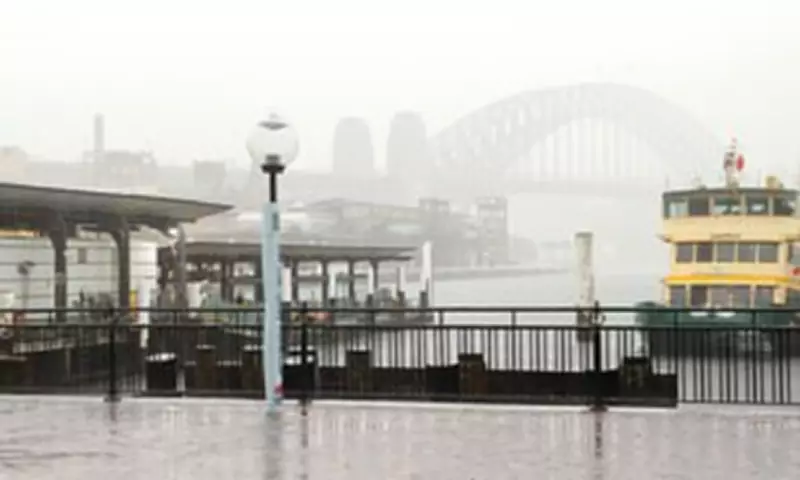 Sydney's F1 Manly Ferry Service Cancelled Amid Extreme Weather Warnings