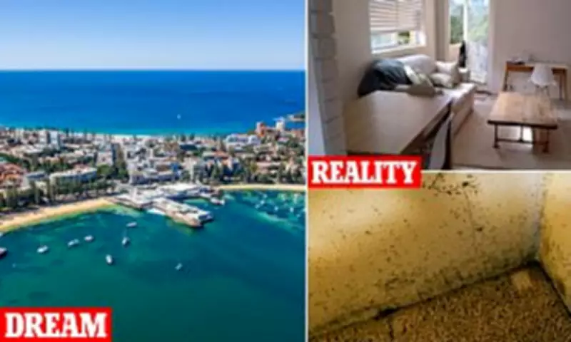 Sydney's Rental Crisis: From Dutch Farmhouse to Mouldy Shoebox