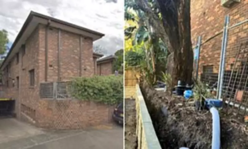 Sydney's Wealthy Suburb Tree Dispute Ends in Court Ruling for Homeowners